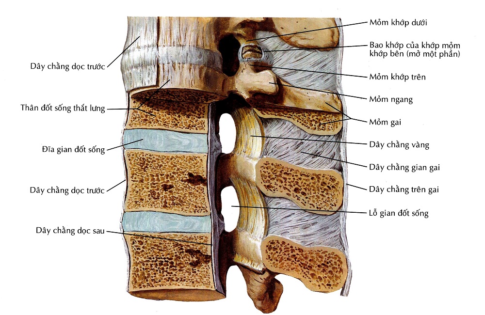 Đánh giá tác dụng điều trị đau do thoát vị đĩa đệm cột sống thắt lưng bằng phương pháp điện châm kết hợp kéo giãn cột sống