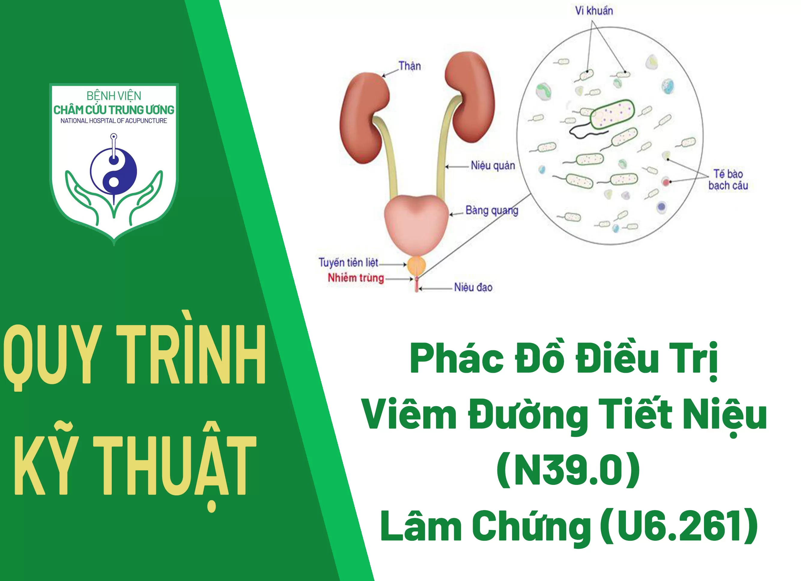 Phác Đồ Điều Trị Viêm Đường Tiết Niệu (N39.0) - Lâm Chứng (U6.261)