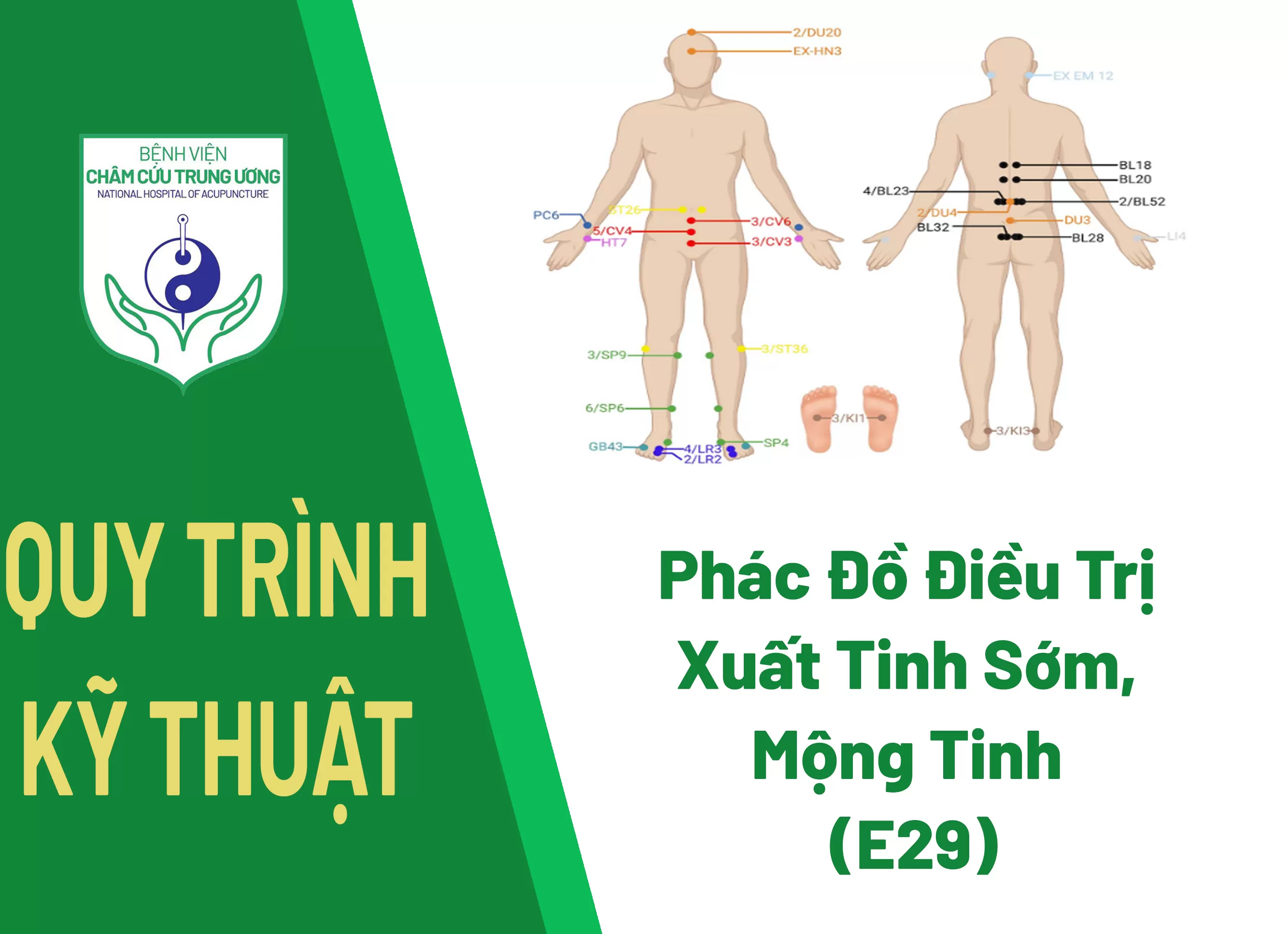 Phác Đồ Điều Trị Xuất Tinh Sớm, Mộng Tinh (E29)