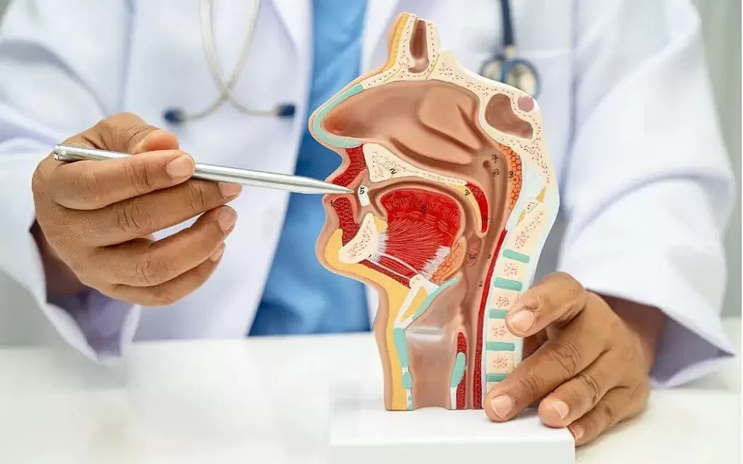 Những điều bạn cần biết khi khám tai mũi họng và địa chỉ khám uy tín, có bảo hiểm y tế, chi phí phải chăng