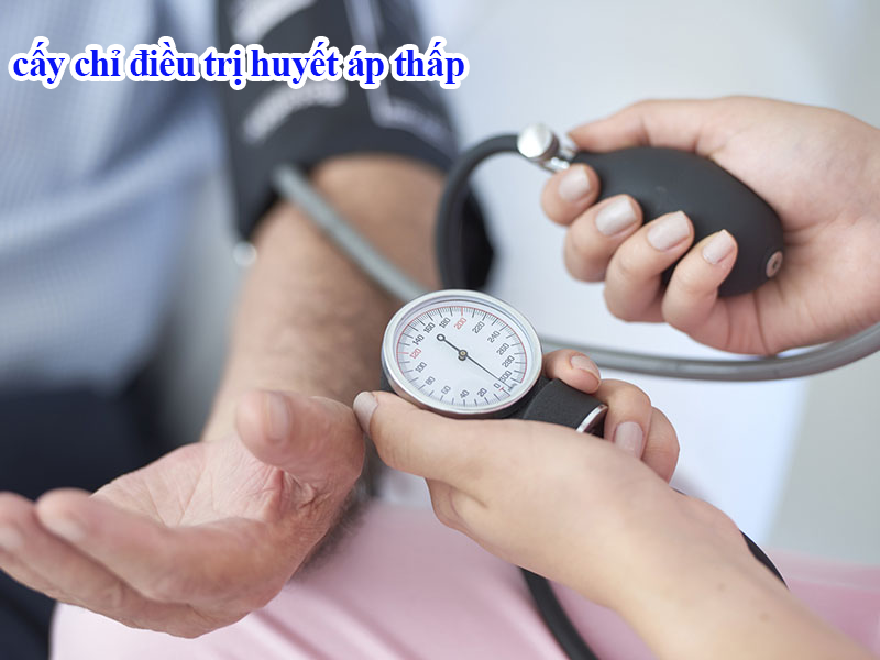 Cấy chỉ điều trị huyết áp thấp