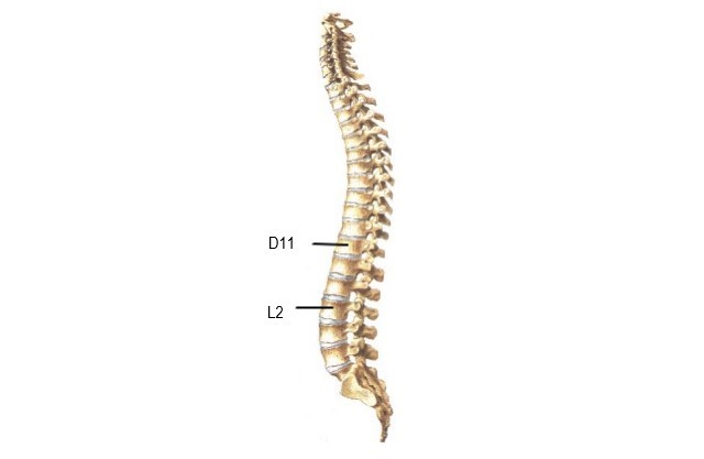 ĐÁNH GIÁ TÁC DỤNG CỦA ĐIỆN CH M TRONG ĐIỀU TRỊ LIỆT HAI CHI DƯỚI SAU CHẤN THƯƠNG CỘT SỐNG LƯNG - THẮT LƯNG ĐÃ PHẪU THUẬT